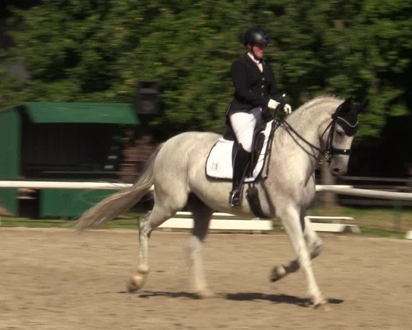 Reitturnier Recklinghausen 2022