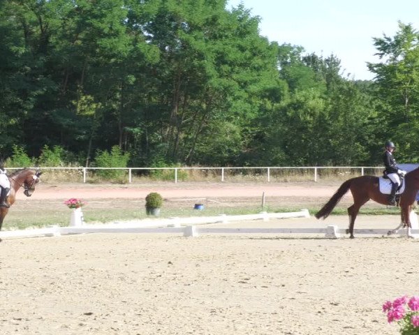 Reitturnier Heiligenwald 2022