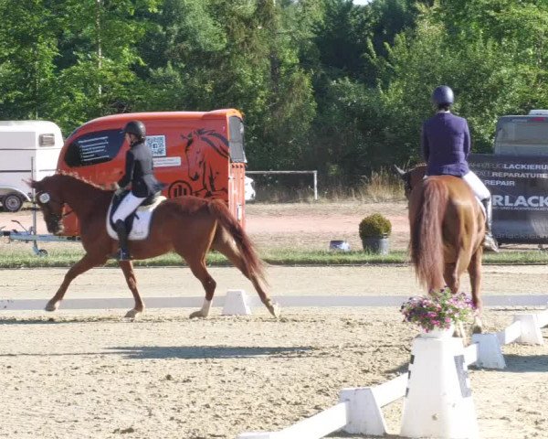 Reitturnier Heiligenwald 2022