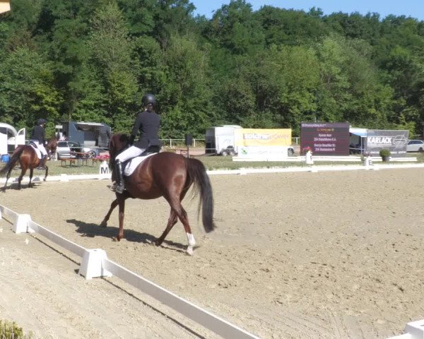 Reitturnier Heiligenwald 2022