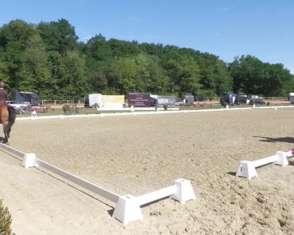 Reitturnier Heiligenwald 2022