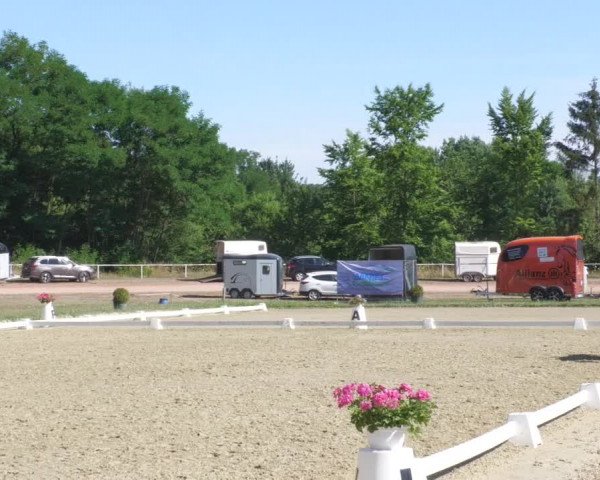 Reitturnier Heiligenwald 2022