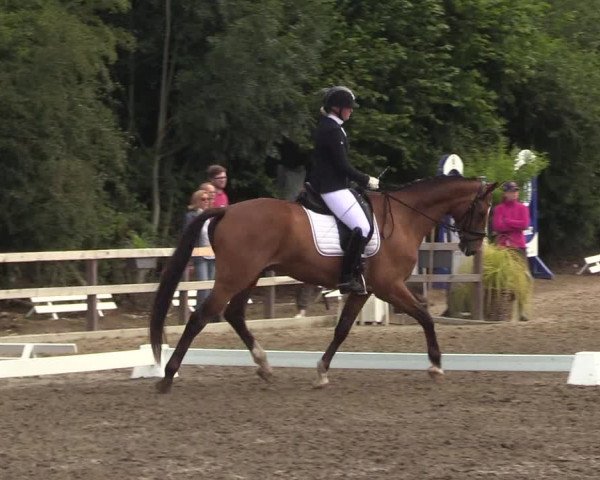 Reitturnier Kleinsolt 2022