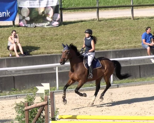 Reitturnier Rüti 2022