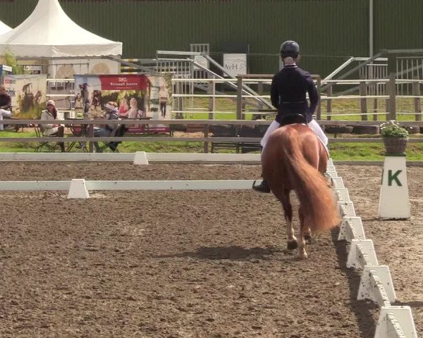 Reitturnier Kleinsolt 2022