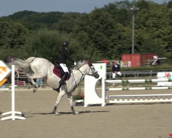 Reitturnier Weiswampach 2022