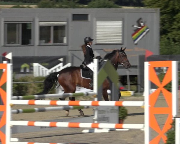 Reitturnier Weiswampach 2022