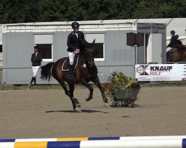 Reitturnier Weiswampach 2022