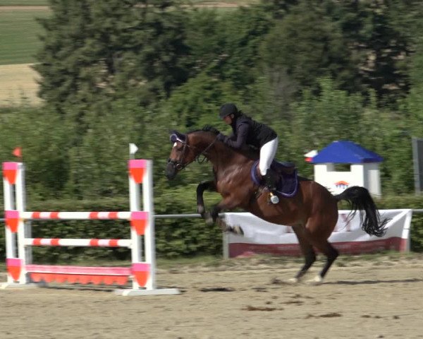Reitturnier Weiswampach 2022