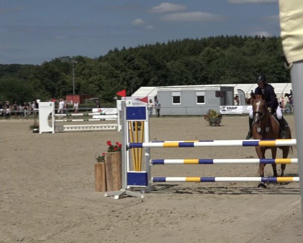 Reitturnier Weiswampach 2022