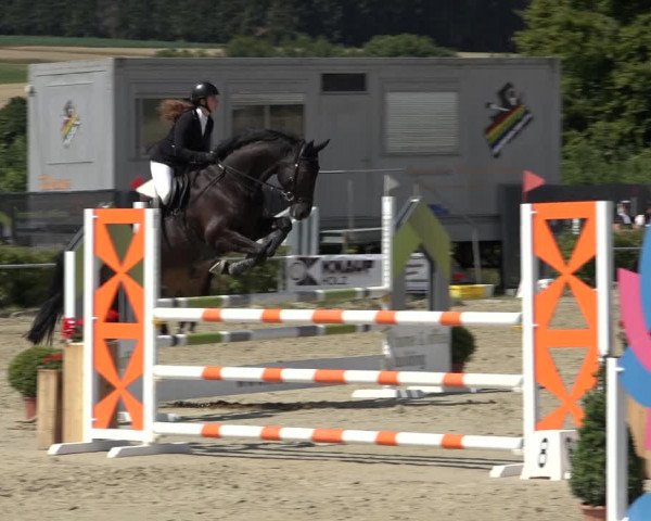 Reitturnier Weiswampach 2022
