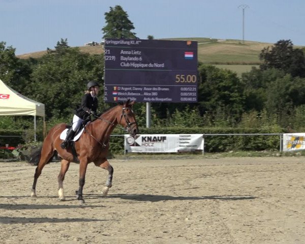 Reitturnier Weiswampach 2022
