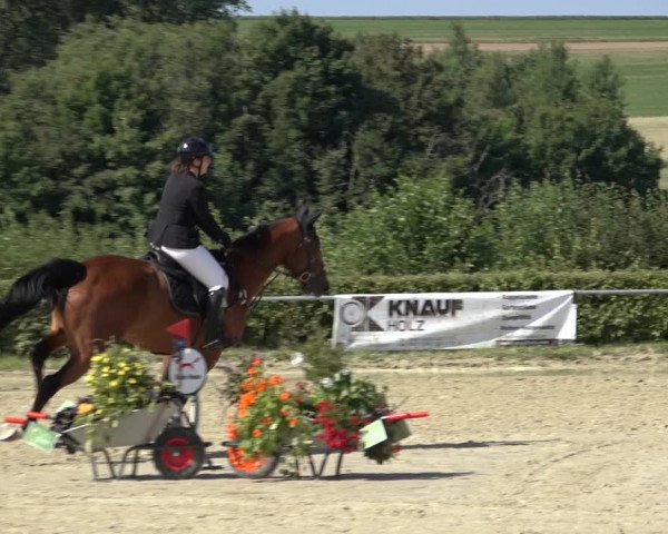 Reitturnier Weiswampach 2022