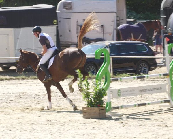 Reitturnier Heiligenwald 2022