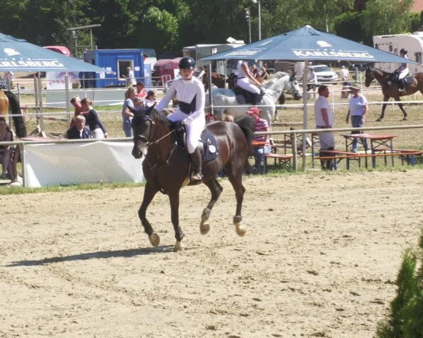 Reitturnier Heiligenwald 2022