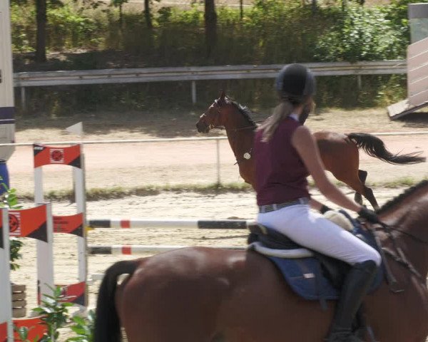 Reitturnier Heiligenwald 2022