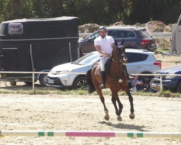 Reitturnier Heiligenwald 2022