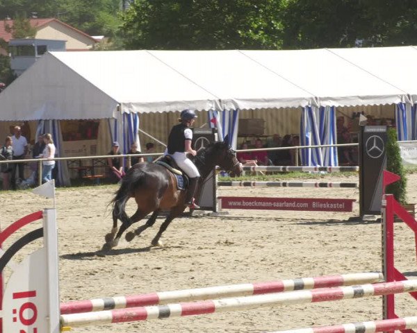 Reitturnier Heiligenwald 2022