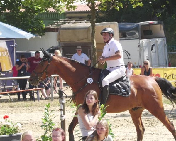 Reitturnier Heiligenwald 2022