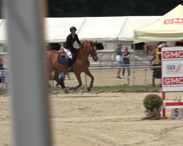 Reitturnier Weiswampach 2022
