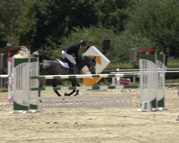 Reitturnier Weiswampach 2022