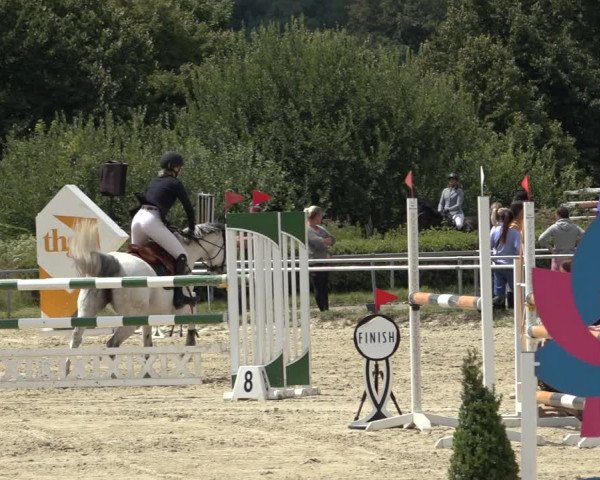 Reitturnier Weiswampach 2022