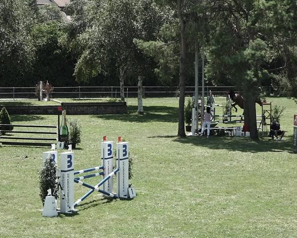 Reitturnier Elgg 2022