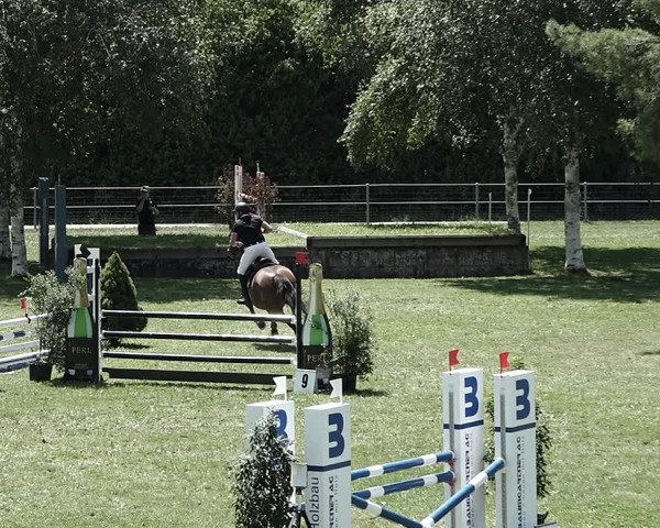 Reitturnier Elgg 2022