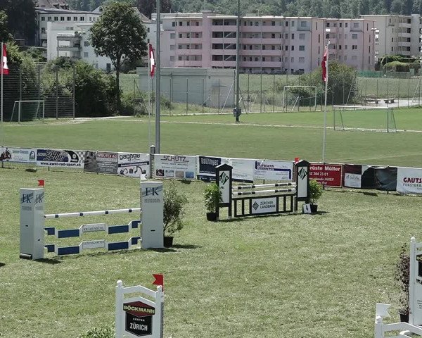 Reitturnier Elgg 2022