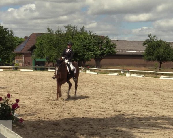 Reitturnier Recklinghausen 2022