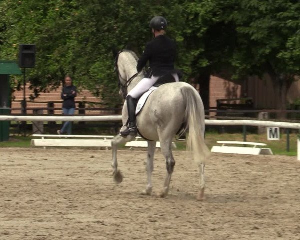 Reitturnier Recklinghausen 2022