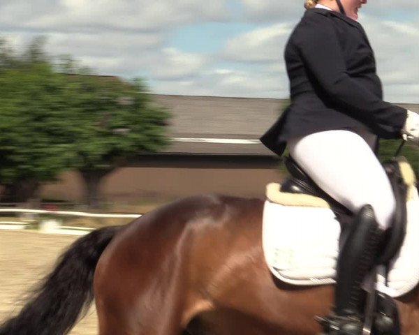 Reitturnier Recklinghausen 2022