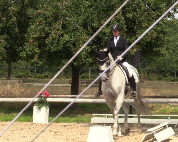Reitturnier Recklinghausen 2022