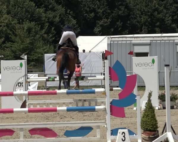 Reitturnier Weiswampach 2022