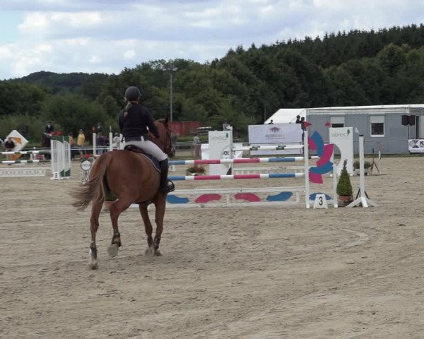 Reitturnier Weiswampach 2022