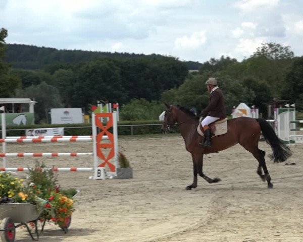 Reitturnier Weiswampach 2022