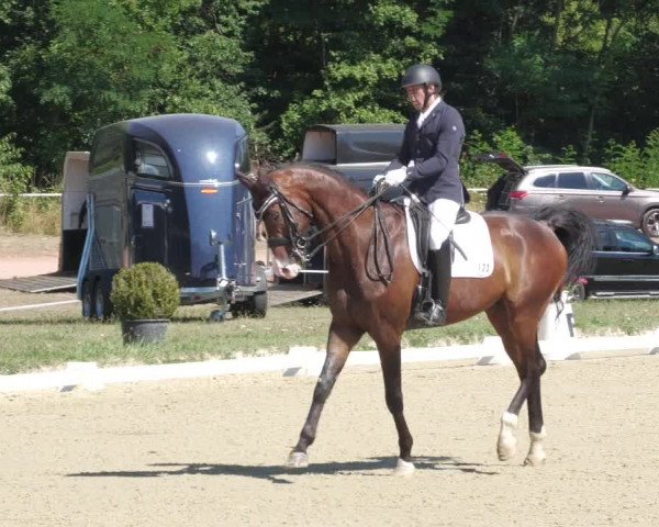 Reitturnier Heiligenwald 2022