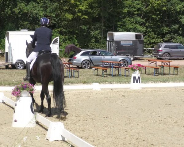Reitturnier Heiligenwald 2022