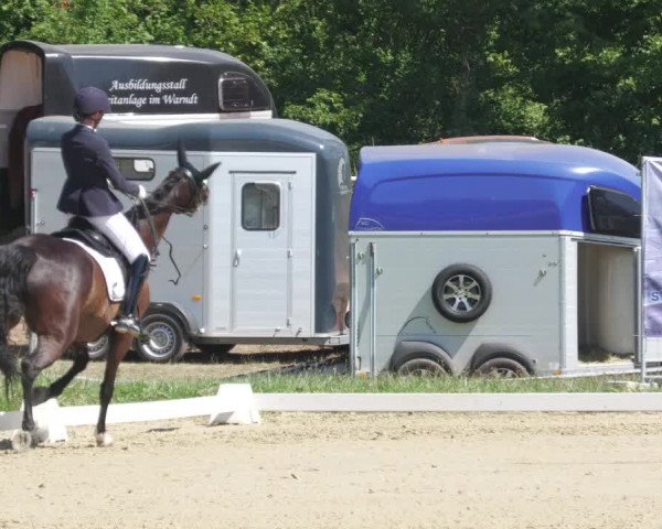 Reitturnier Heiligenwald 2022