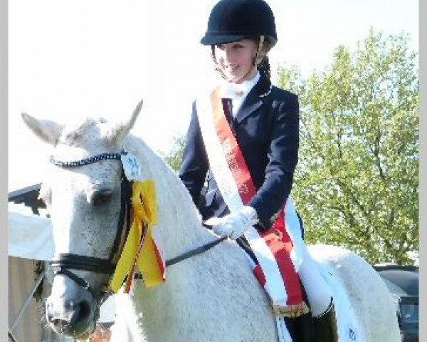 dressage horse Amaretto 139 (German Riding Pony, 1995, from Aron)