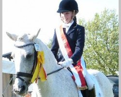 dressage horse Amaretto 139 (German Riding Pony, 1995, from Aron)
