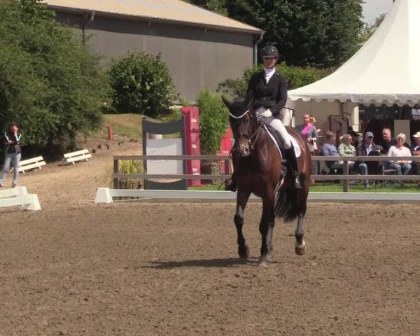 Reitturnier Kleinsolt 2022