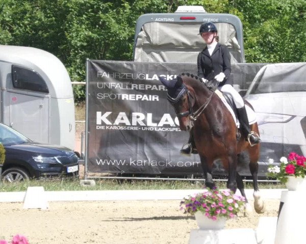 Reitturnier Heiligenwald 2022