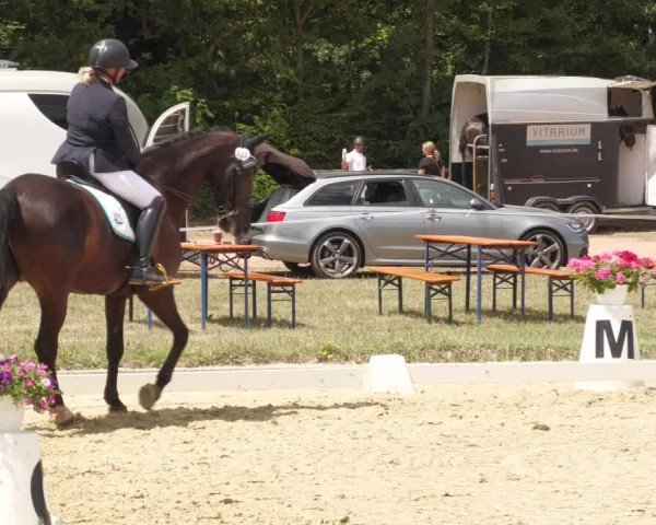 Reitturnier Heiligenwald 2022