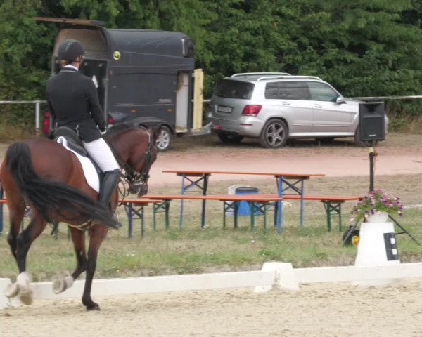 Reitturnier Heiligenwald 2022