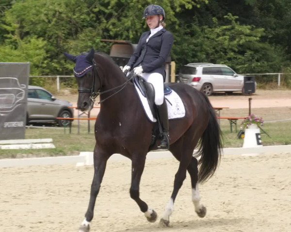 Reitturnier Heiligenwald 2022