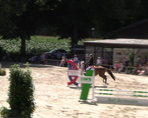 Reitturnier Recklinghausen 2022