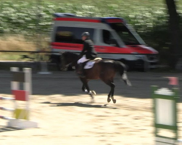 Reitturnier Recklinghausen 2022