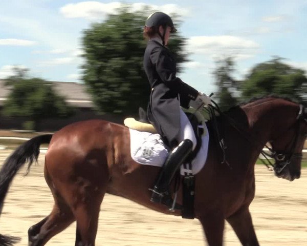 Reitturnier Recklinghausen 2022