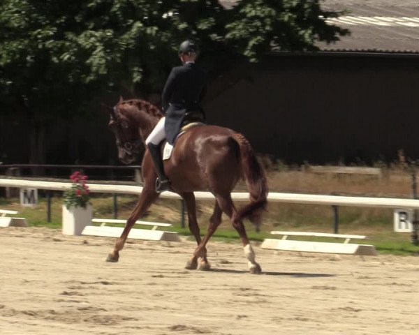 Reitturnier Recklinghausen 2022